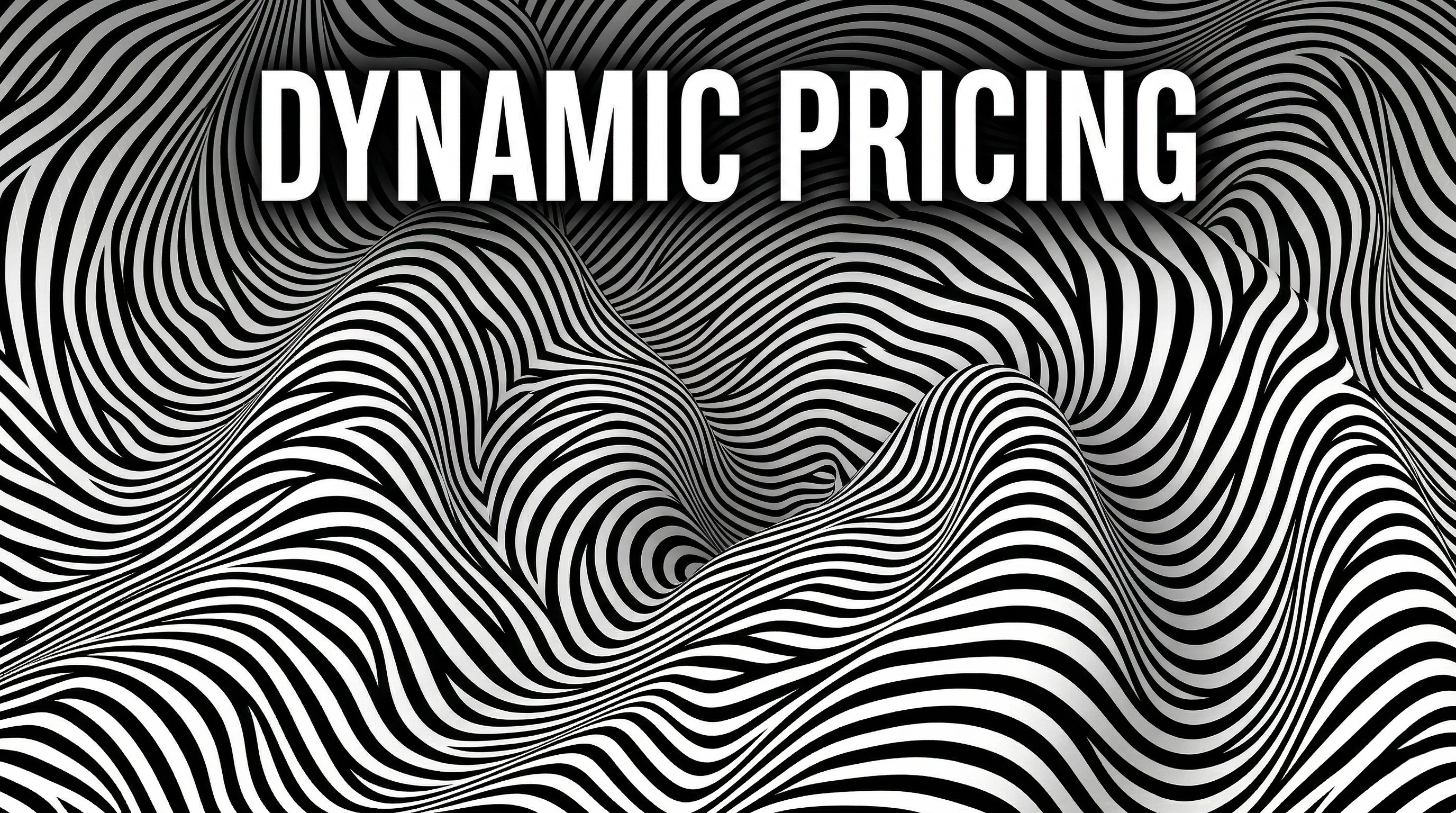 Dynamic Pricing Strategies